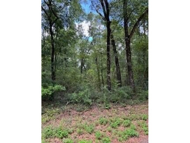 Kings Lake - Walton County Acreage For Sale in Defuniak Springs Florida