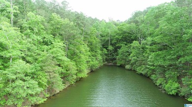 Large 2.3 acre lot located on the south end of Lake Wedowee - photo 4