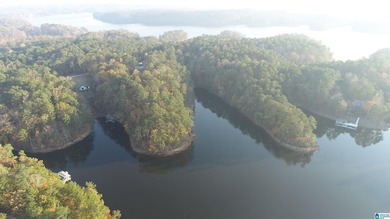 Large 2.3 acre lot located on the south end of Lake Wedowee - photo 6