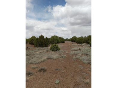 Lake Lot For Sale in Show Low, Arizona