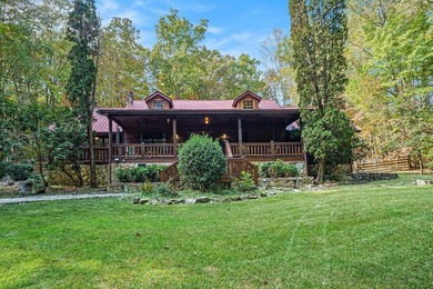 Lake Home For Sale in Blue Ridge, Georgia