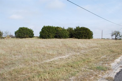 0.29 acre lot that has been cleared of large trees and brush - photo 2