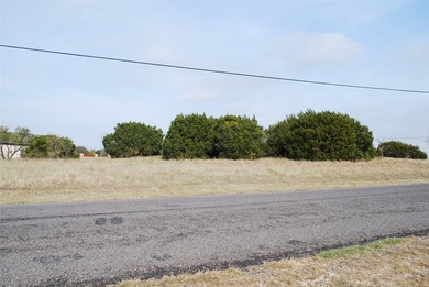 0.29 acre lot that has been cleared of large trees and brush - photo 4