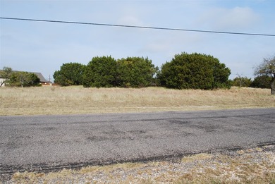 0.29 acre lot that has been cleared of large trees and brush - photo 5