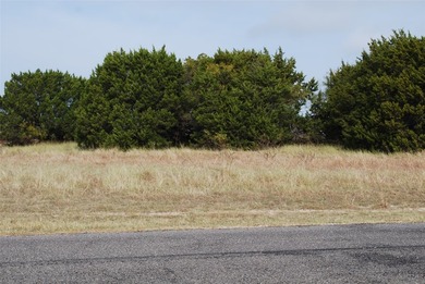 0.29 acre lot that has been cleared of large trees and brush - photo 6