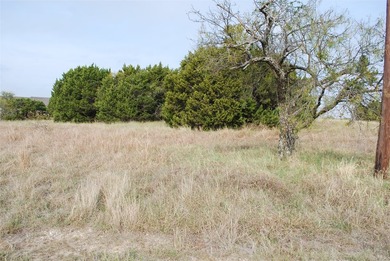 0.29 acre lot that has been cleared of large trees and brush - photo 7