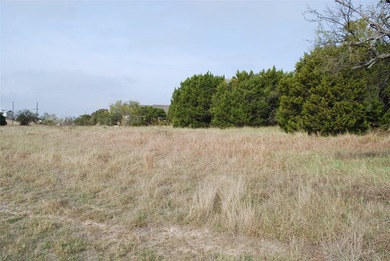 0.29 acre lot that has been cleared of large trees and brush - photo 8