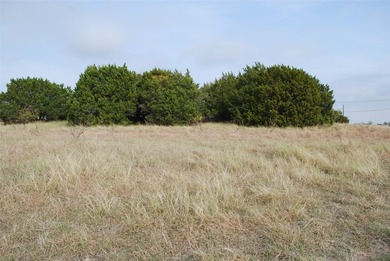 0.29 acre lot that has been cleared of large trees and brush - photo 10