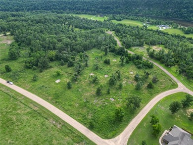 Discover 7.75 acres of mostly level Ozark beauty in White River - photo 4