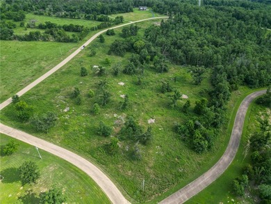 Discover 7.75 acres of mostly level Ozark beauty in White River - photo 6