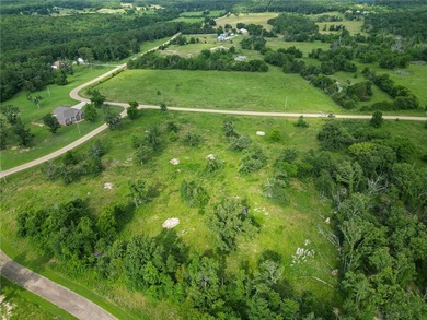 Discover 7.75 acres of mostly level Ozark beauty in White River - photo 8