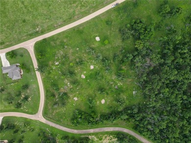 Discover 7.75 acres of mostly level Ozark beauty in White River - photo 9