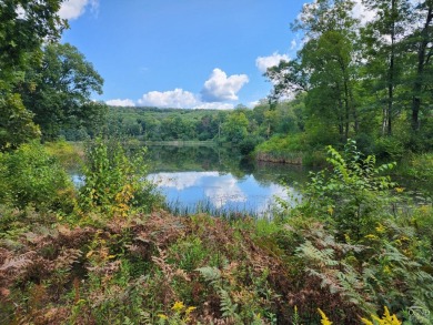 Lake Acreage For Sale in Copake, New York