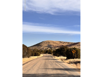 Concho Lake Lot For Sale in Concho Arizona