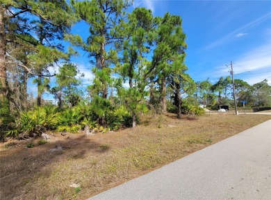 Lehigh Acres Area Lot For Sale in Lehigh Acres Florida