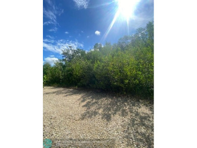  Lot For Sale in Other City - In The State Of Florida Florida