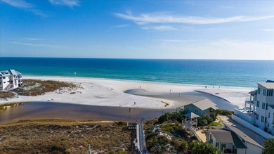 Seagrove Beach Sanctuary | Steps to the Sand | Ultimate Coastal - photo 44