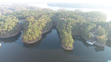 Located in a deep cove on the south end of beautiful Lake - photo 6