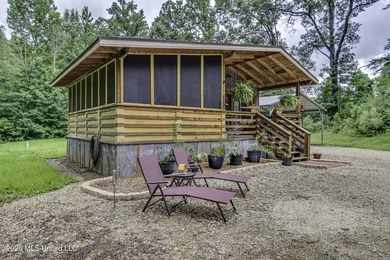 Welcome home to your own little slice of Mississippi paradise - photo 6