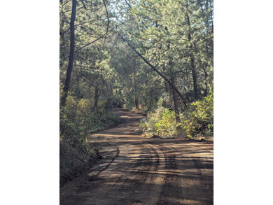 Lake Shasta Acreage For Sale in Bella Vista California