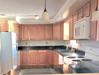 Spectacular renovated home. Like new. 2 bedrooms 2 full baths - photo 3