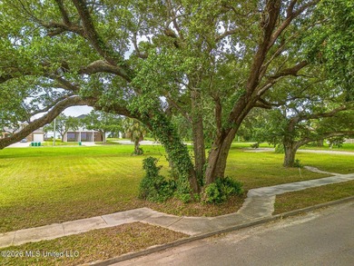 Roughly 700ft from the Beach, this Gulfport lot with Gulf Views - photo 5