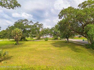 Roughly 700ft from the Beach, this Gulfport lot with Gulf Views - photo 6