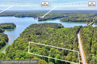 Experience Lakeside Living on Richard B. Russell Lake!! Discover - photo 1