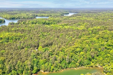 Experience Lakeside Living on Richard B. Russell Lake!! Discover - photo 6