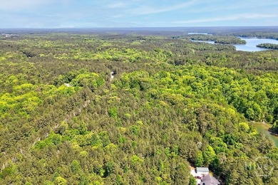 Experience Lakeside Living on Richard B. Russell Lake!! Discover - photo 7