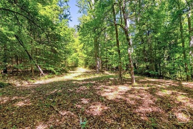 Experience Lakeside Living on Richard B. Russell Lake!! Discover - photo 10