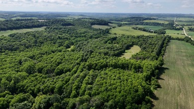 (private lake, pond, creek) Acreage For Sale in Wadena Iowa