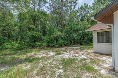 Best Priced Sugarmill Woods 3/2/2 Home! Great investment - photo 30