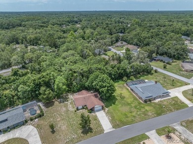 Best Priced Sugarmill Woods 3/2/2 Home! Great investment - photo 40