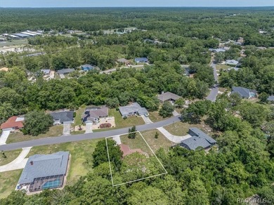 Best Priced Sugarmill Woods 3/2/2 Home! Great investment - photo 45