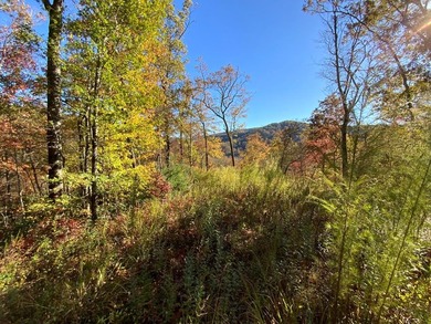 Lake Nantahala Lot For Sale in Nantahala North Carolina
