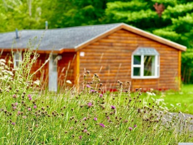 (private lake, pond, creek) Home For Sale in Windham New York