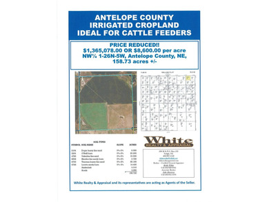 (private lake, pond, creek) Acreage For Sale in Antelope County Nebraska