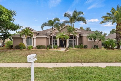 Lake Tarpon Home For Sale in Palm Harbor Florida