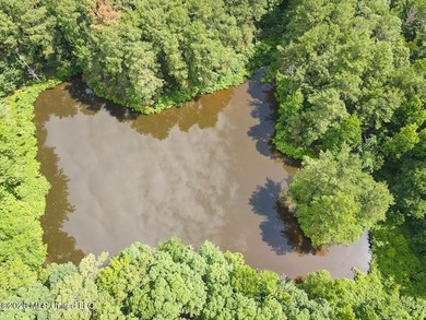 Honey, grab the fishing poles! This is the country retreat - photo 5