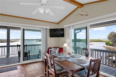 Waterfront Living in Old Homosassa with direct access to the - photo 18