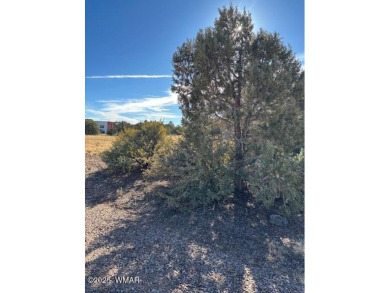 Lake Lot For Sale in Show Low, Arizona