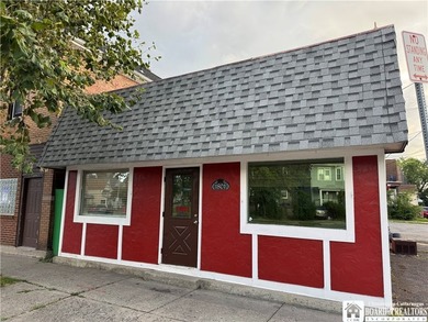 Buffalo Mixed-Use Opportunity - Storefront + Studio Apartment - photo 1