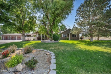 Lake Home ActiveUnderContr in Gardnerville, Nevada
