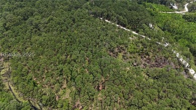 FULL 10 ACRES NO HOA or POA and less than 10 Miles from Historic - photo 4