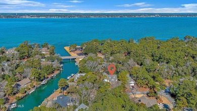Canalfront 4-bedroom home situated on a private lot in Pine - photo 1
