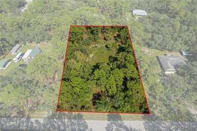 Rare opportunity to own a 1.24-acre homesite in the established - photo 1