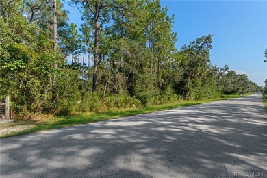Rare opportunity to own a 1.24-acre homesite in the established - photo 2