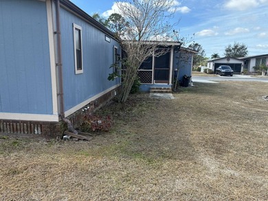 133 Las Palmas Blvd 133 - photo 3