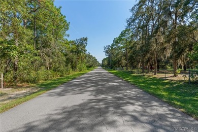 Rare opportunity to own a 1.24-acre homesite in the established - photo 4